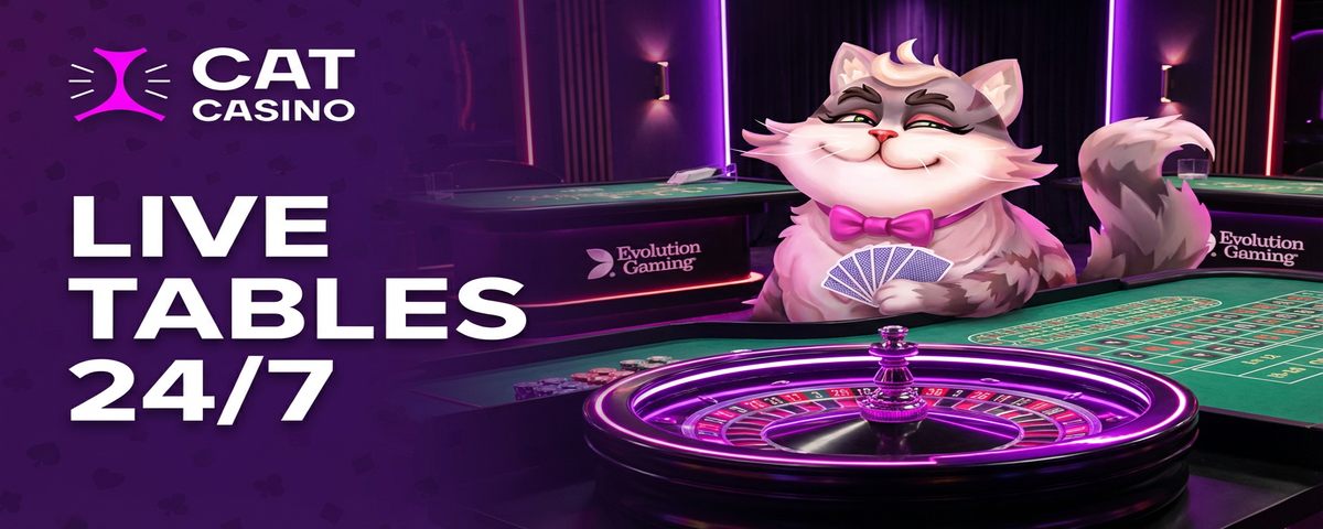 Cat Casino — Live Dealer Tables 24/7